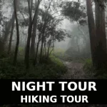 Night Tour Monteverde Cloud Forest