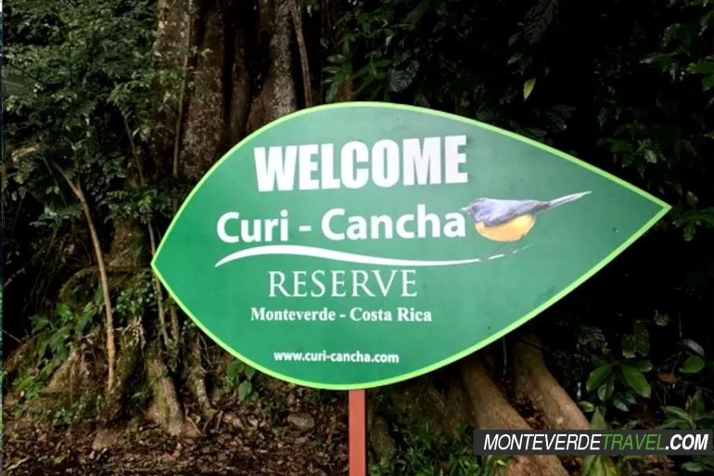 Birdwatching Tour Curi cancha