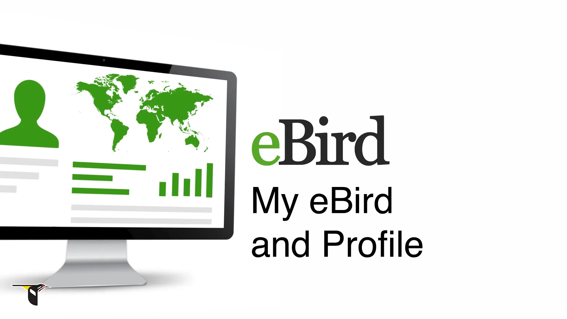 Ebird Monteverde Birdwatching Tour