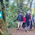 Monteverde Birdwatching Tour Alondra Trail at Curi Cancha