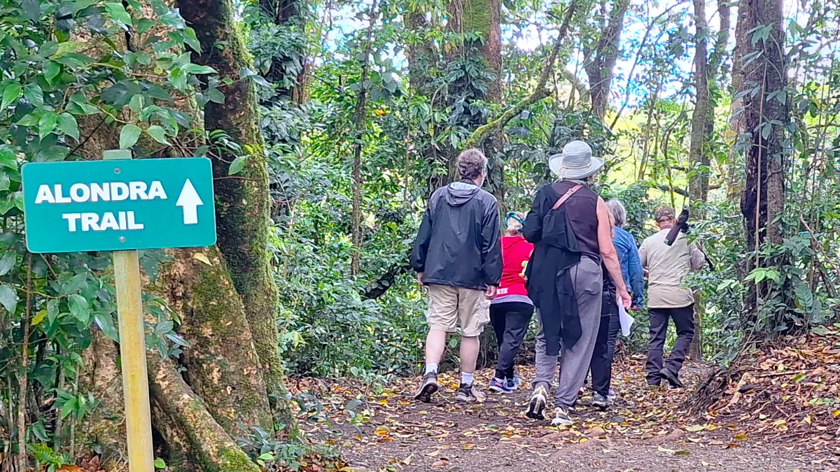 Monteverde Birdwatching Tour Alondra Trail Monteverde Birdwatching Tour Alondra Trail at Curi Cancha