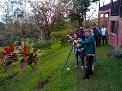 Monteverde Birdwatching Tour Paseo Stella Birding Spot