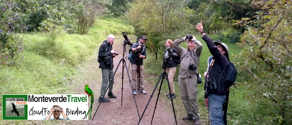 Monteverde Costa Rica Birdwatching MTV Monteverde Costa Rica Birdwatching Tour