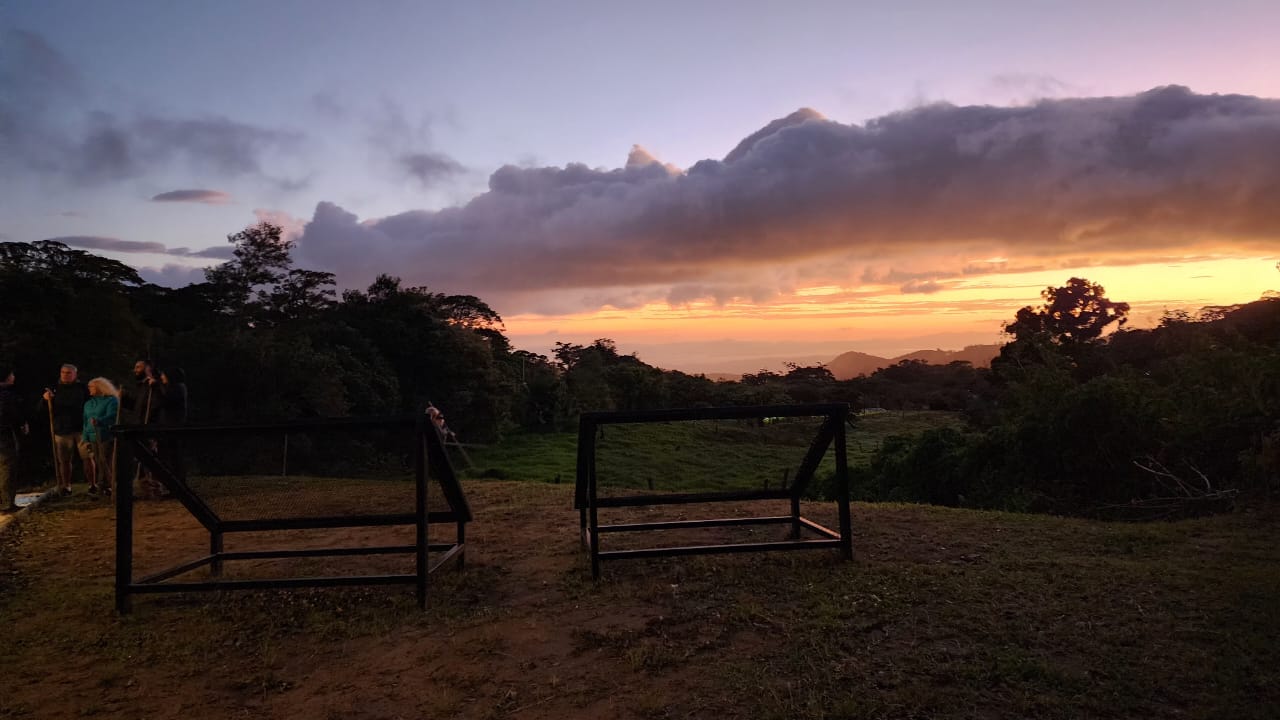 Night Tour Monteverde Monteverde Sunset