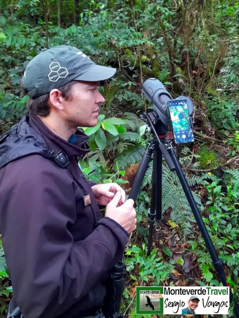 Sergio Vargas Birdwatching Monteverde