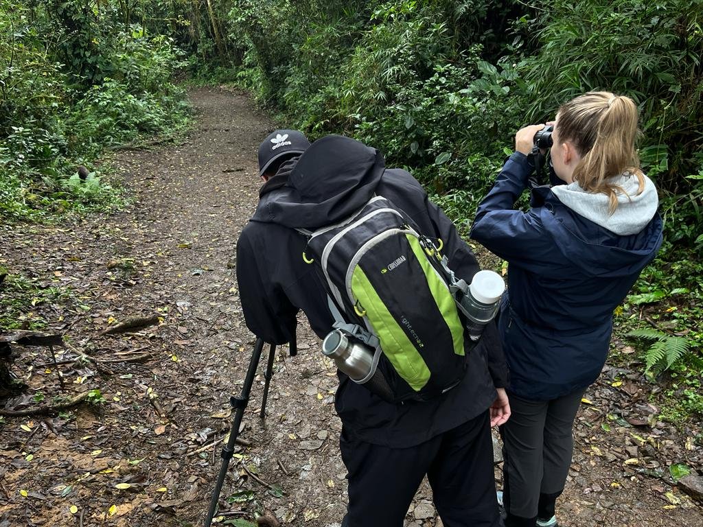 The Best Time For Birdwatching in Monteverde path of the birds