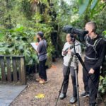 The Best Time For Birdwatching in Monteverde wooden bridge