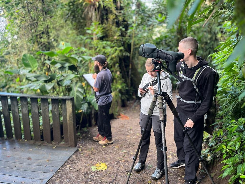 The Best Time For Birdwatching in Monteverde wooden bridge
