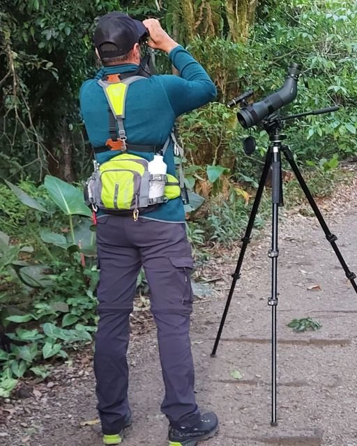 Will Nunez Birding Will Nunez Monteverde Costa Rica Bird Watching Equipment