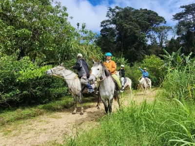 Horseback Riding Costa Rica