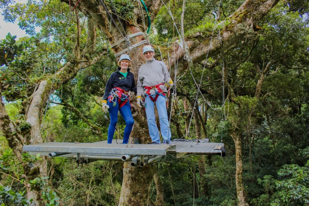 Monteverde Canopy Tour Platform Monteverde Costa Rica Canopy Tour