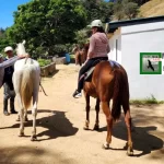 Monteverde Horseback Riding