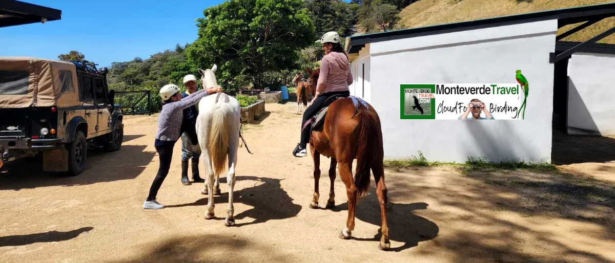 Monteverde Horseback Riding