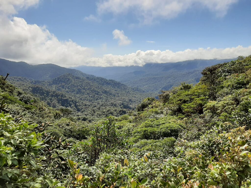 Monteverde Costa rica Tours< birdwatching