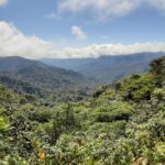 Monteverde Costa rica Tours< birdwatching