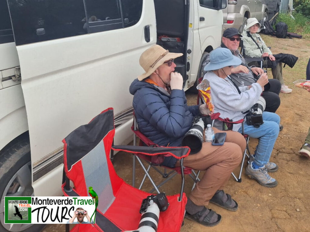 Monteverde to San Gerardo de Dota Bird-Watching Tour
