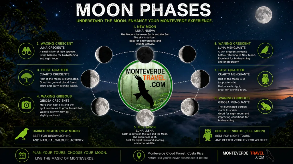 Moon phases explained best times for monteverde tours